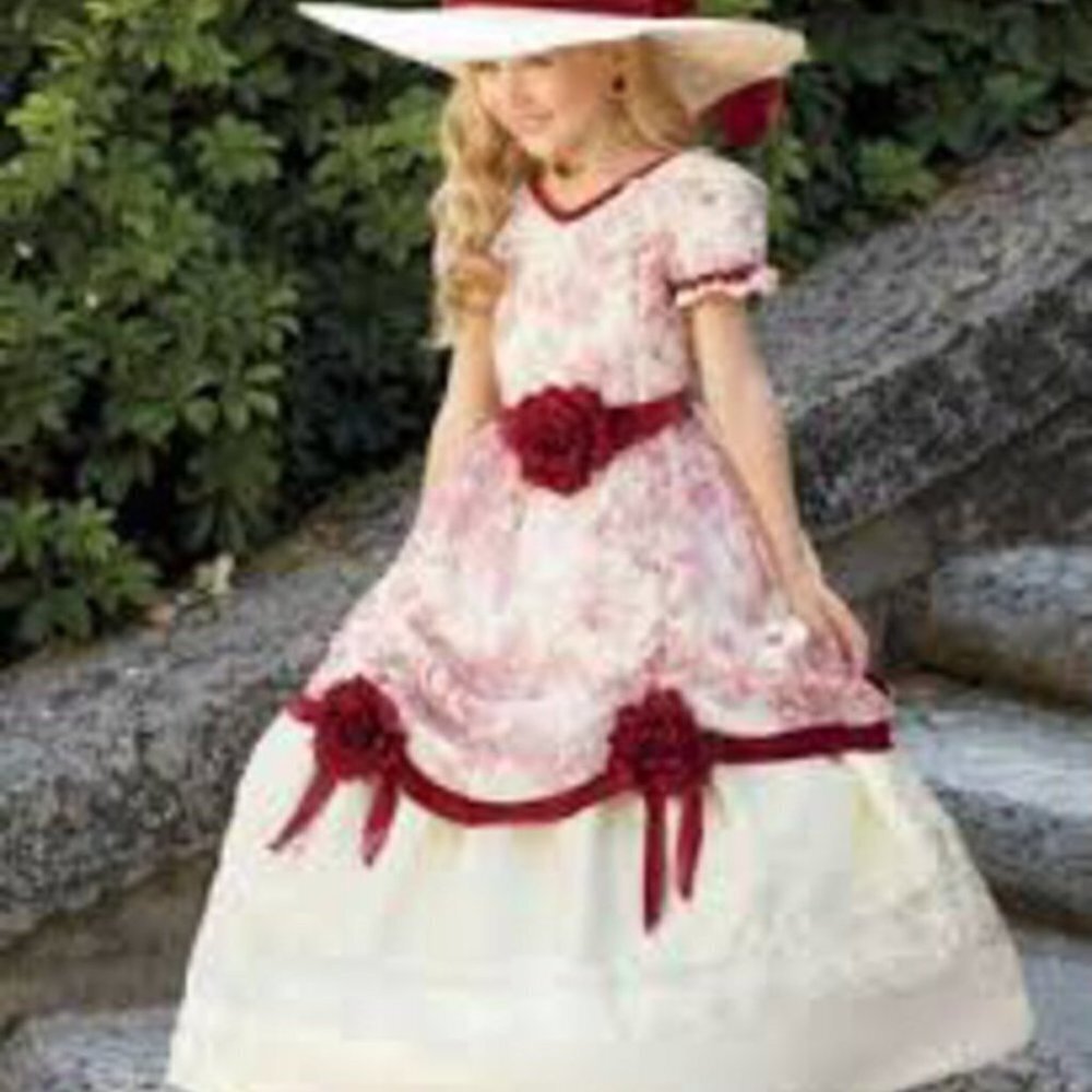 CHASING Fireflies Southern Belle Costume size 10 - Picture 2 of 9